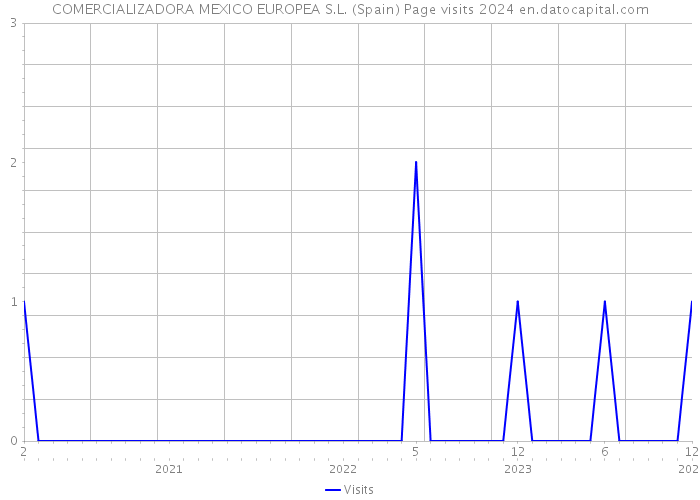 COMERCIALIZADORA MEXICO EUROPEA S.L. (Spain) Page visits 2024 