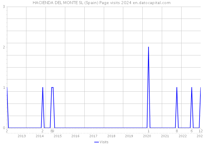 HACIENDA DEL MONTE SL (Spain) Page visits 2024 