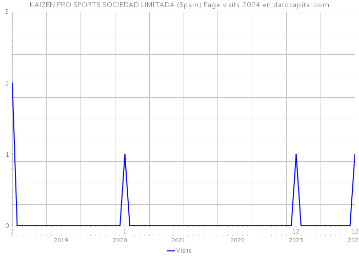 KAIZEN PRO SPORTS SOCIEDAD LIMITADA (Spain) Page visits 2024 