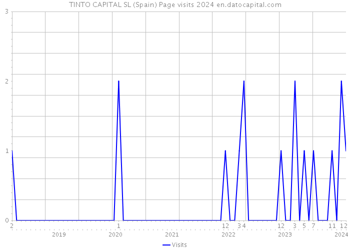 TINTO CAPITAL SL (Spain) Page visits 2024 