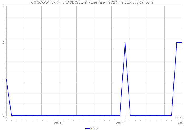 COCOOON BRAINLAB SL (Spain) Page visits 2024 