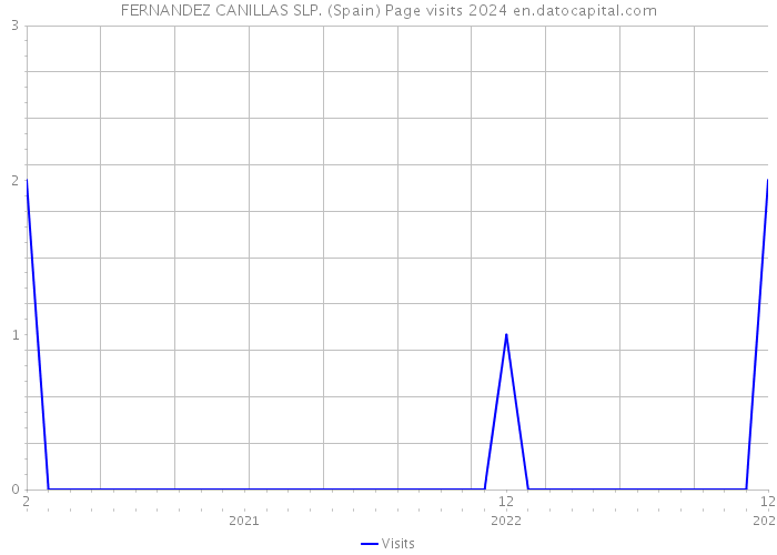 FERNANDEZ CANILLAS SLP. (Spain) Page visits 2024 
