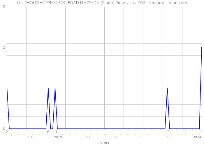 LIU ZHOU SHOPPING SOCIEDAD LIMITADA (Spain) Page visits 2024 