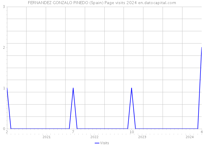 FERNANDEZ GONZALO PINEDO (Spain) Page visits 2024 
