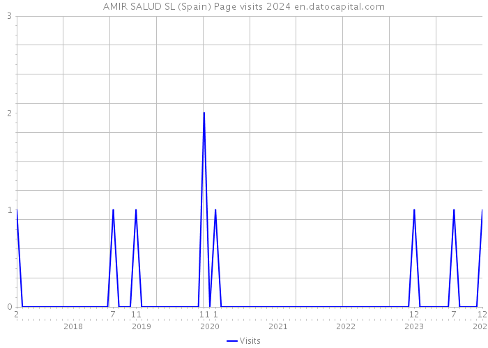 AMIR SALUD SL (Spain) Page visits 2024 