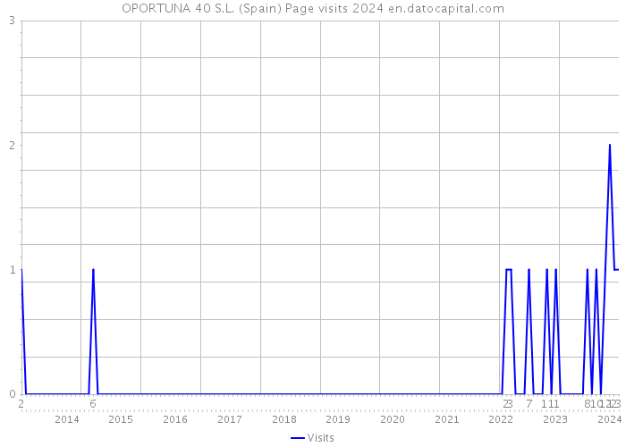OPORTUNA 40 S.L. (Spain) Page visits 2024 