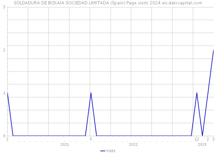 SOLDADURA DE BIZKAIA SOCIEDAD LIMITADA (Spain) Page visits 2024 