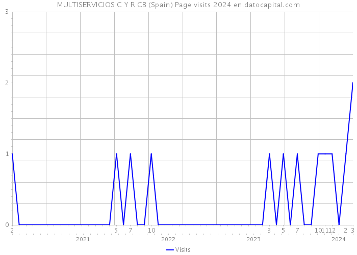 MULTISERVICIOS C Y R CB (Spain) Page visits 2024 