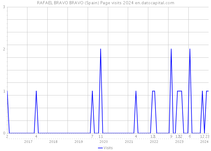 RAFAEL BRAVO BRAVO (Spain) Page visits 2024 