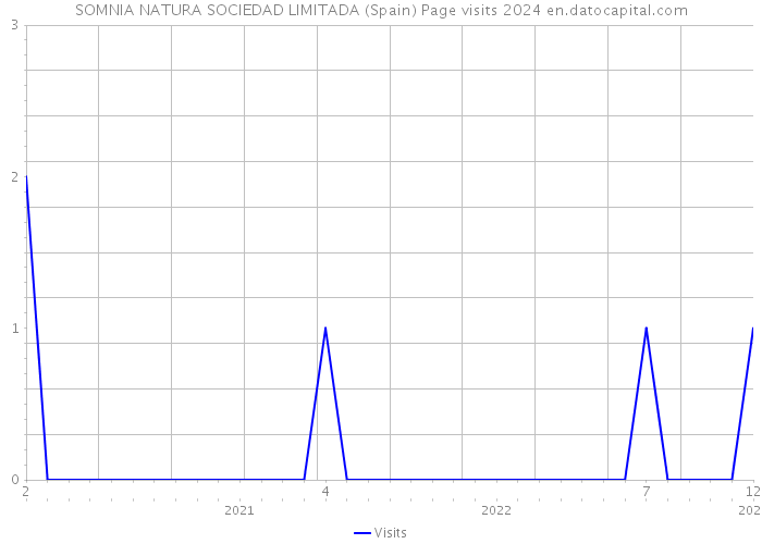 SOMNIA NATURA SOCIEDAD LIMITADA (Spain) Page visits 2024 