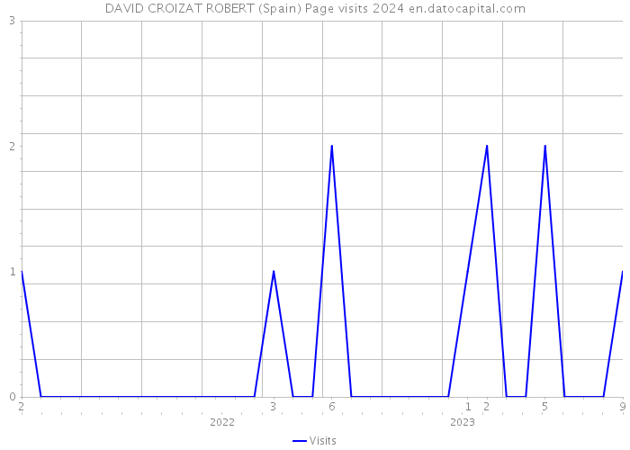 DAVID CROIZAT ROBERT (Spain) Page visits 2024 