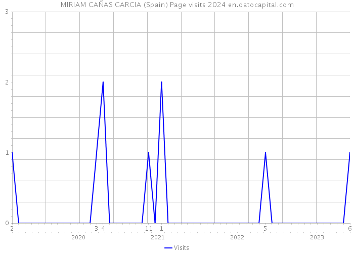 MIRIAM CAÑAS GARCIA (Spain) Page visits 2024 