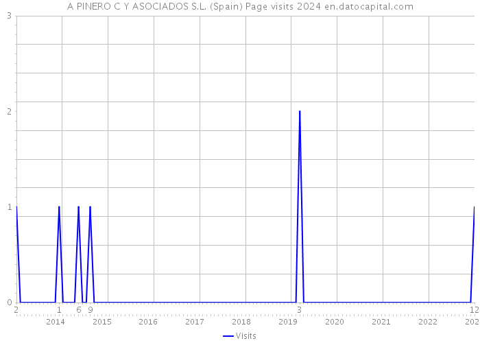 A PINERO C Y ASOCIADOS S.L. (Spain) Page visits 2024 