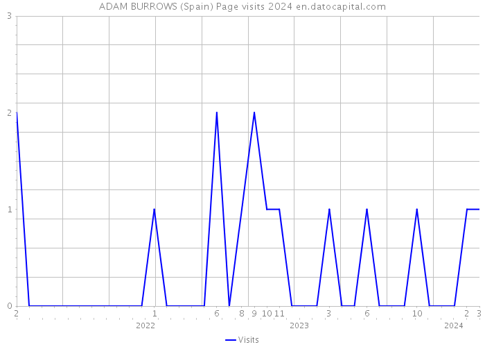 ADAM BURROWS (Spain) Page visits 2024 