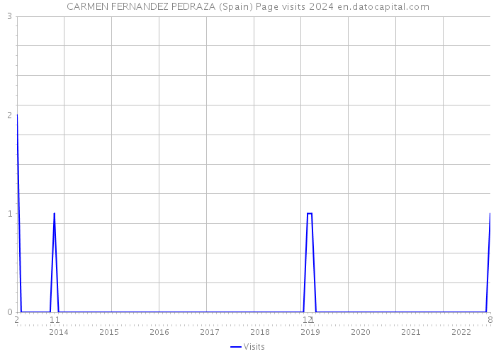 CARMEN FERNANDEZ PEDRAZA (Spain) Page visits 2024 