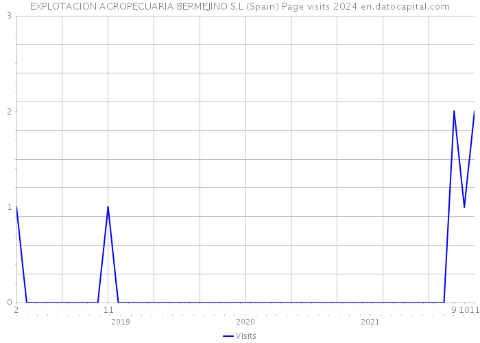 EXPLOTACION AGROPECUARIA BERMEJINO S.L (Spain) Page visits 2024 