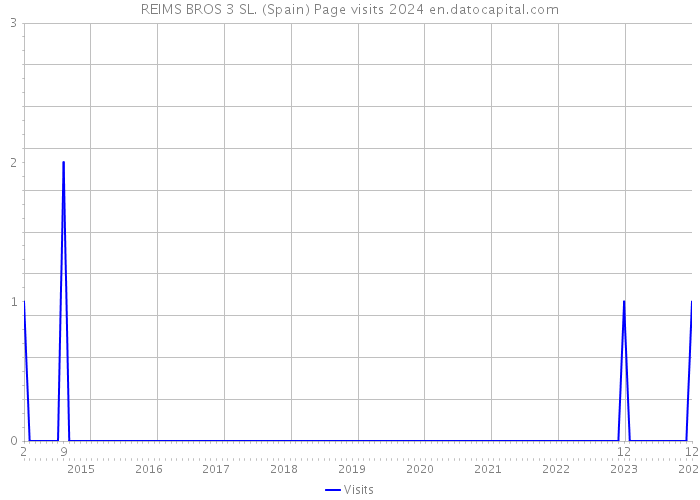 REIMS BROS 3 SL. (Spain) Page visits 2024 