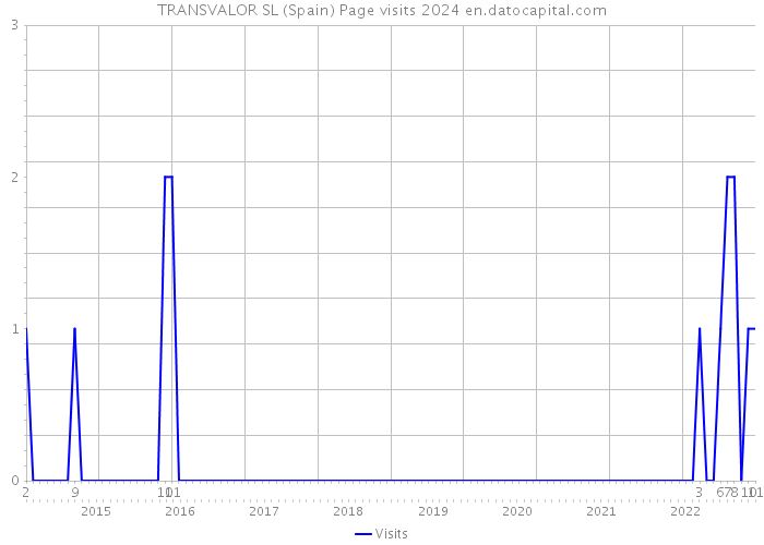 TRANSVALOR SL (Spain) Page visits 2024 