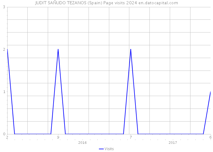 JUDIT SAÑUDO TEZANOS (Spain) Page visits 2024 