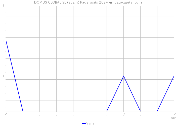 DOMUS GLOBAL SL (Spain) Page visits 2024 