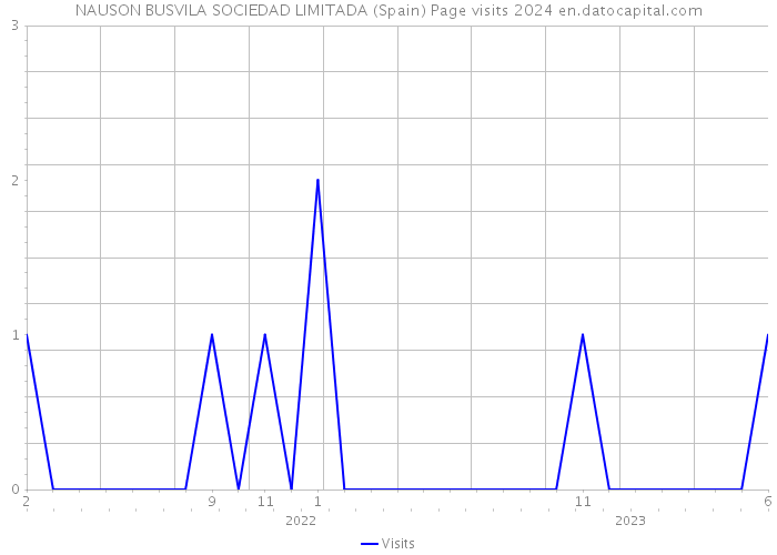 NAUSON BUSVILA SOCIEDAD LIMITADA (Spain) Page visits 2024 