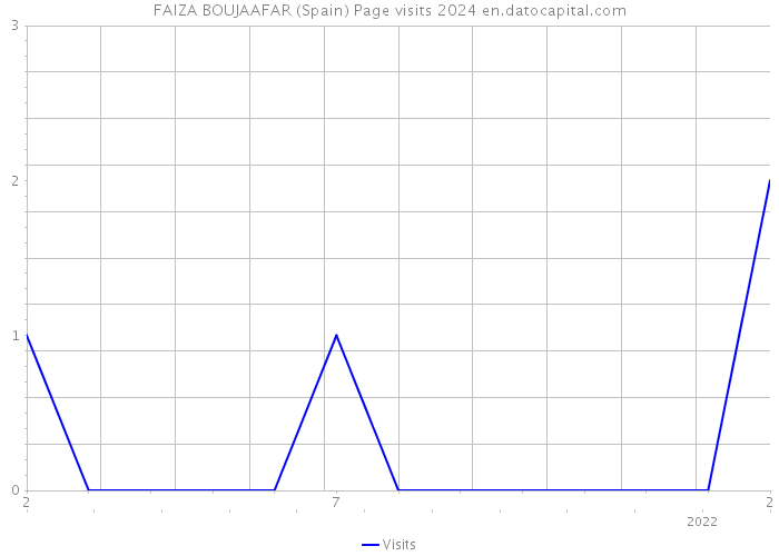 FAIZA BOUJAAFAR (Spain) Page visits 2024 