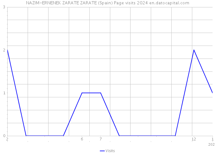 NAZIM-ERNENEK ZARATE ZARATE (Spain) Page visits 2024 