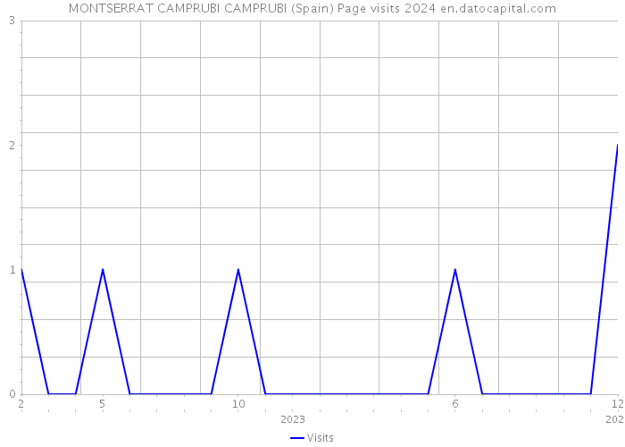 MONTSERRAT CAMPRUBI CAMPRUBI (Spain) Page visits 2024 