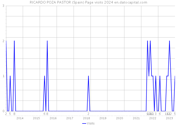 RICARDO POZA PASTOR (Spain) Page visits 2024 