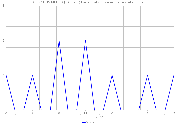 CORNELIS MEULDIJK (Spain) Page visits 2024 