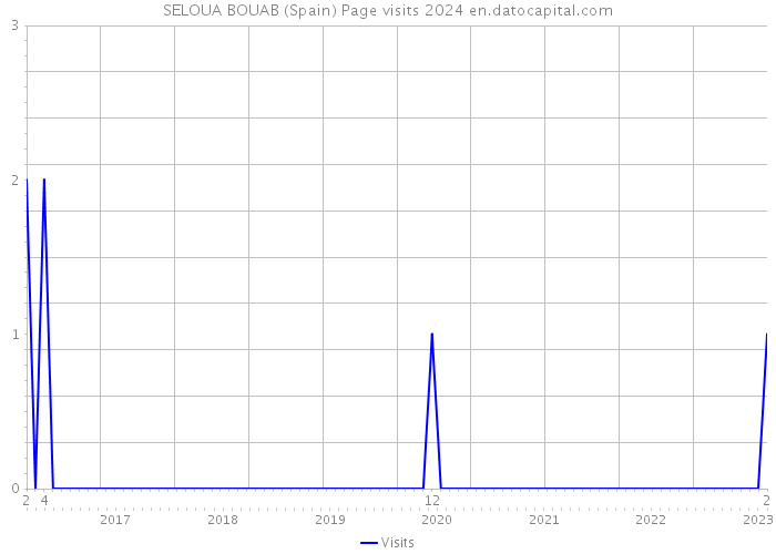 SELOUA BOUAB (Spain) Page visits 2024 