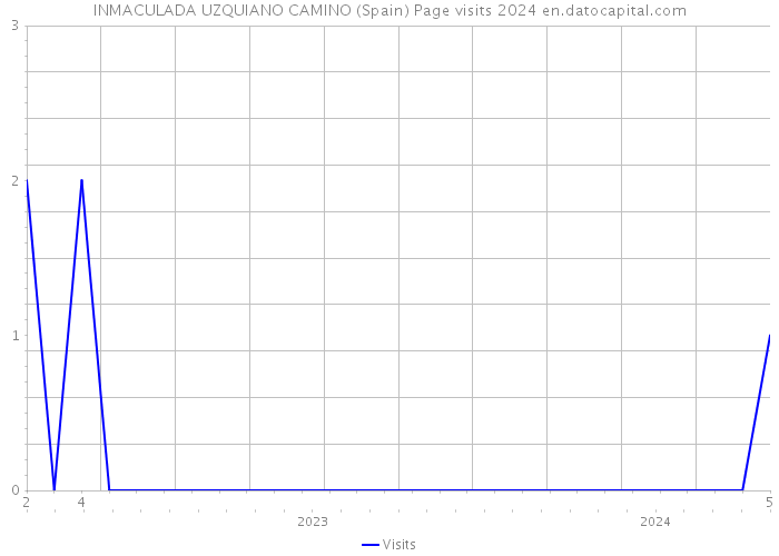INMACULADA UZQUIANO CAMINO (Spain) Page visits 2024 