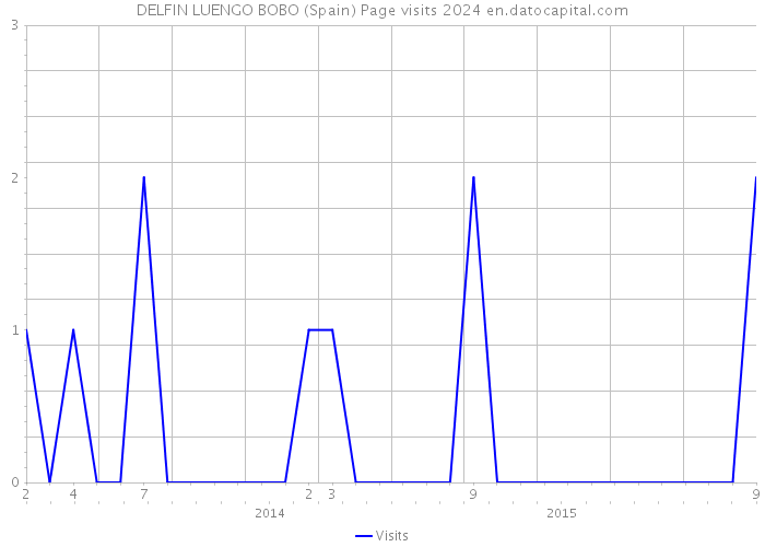DELFIN LUENGO BOBO (Spain) Page visits 2024 