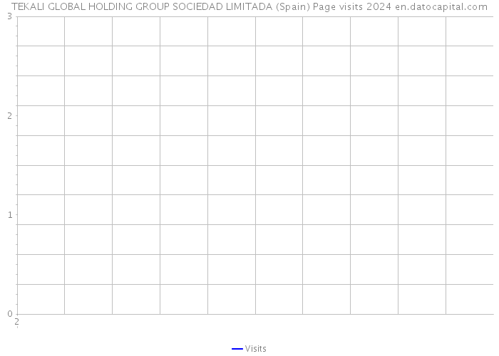 TEKALI GLOBAL HOLDING GROUP SOCIEDAD LIMITADA (Spain) Page visits 2024 