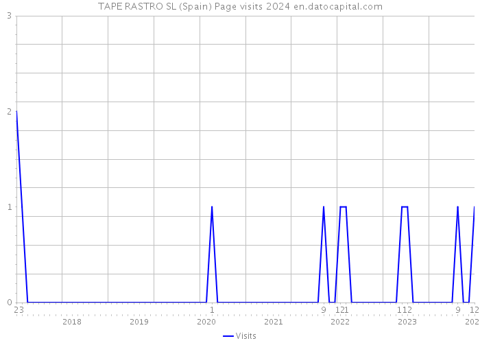 TAPE RASTRO SL (Spain) Page visits 2024 