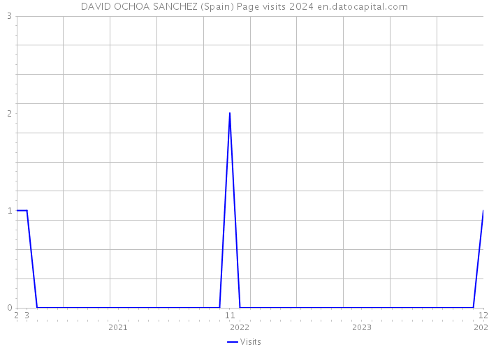 DAVID OCHOA SANCHEZ (Spain) Page visits 2024 