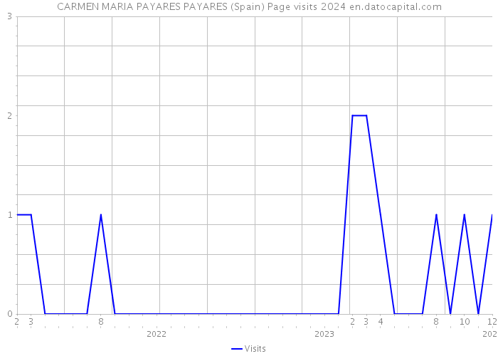 CARMEN MARIA PAYARES PAYARES (Spain) Page visits 2024 