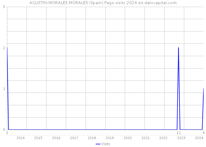 AGUSTIN MORALES MORALES (Spain) Page visits 2024 
