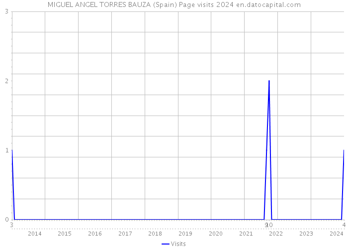 MIGUEL ANGEL TORRES BAUZA (Spain) Page visits 2024 