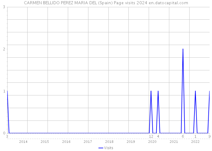 CARMEN BELLIDO PEREZ MARIA DEL (Spain) Page visits 2024 
