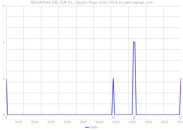 SEGURIDAD DEL SUR S.L. (Spain) Page visits 2024 