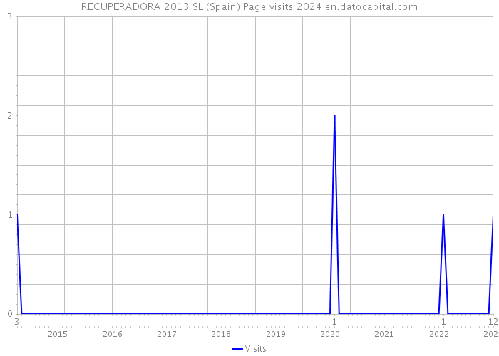 RECUPERADORA 2013 SL (Spain) Page visits 2024 