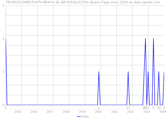 PROMOCIONES PUNTA BRAVA SA (EN DISOLUCION) (Spain) Page visits 2024 
