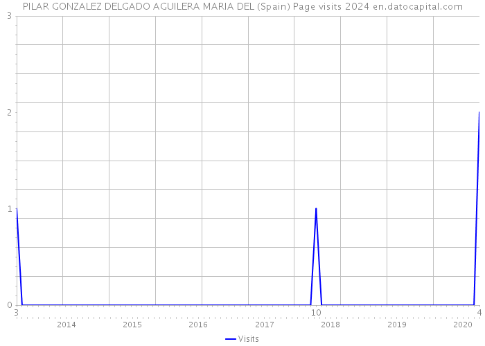 PILAR GONZALEZ DELGADO AGUILERA MARIA DEL (Spain) Page visits 2024 