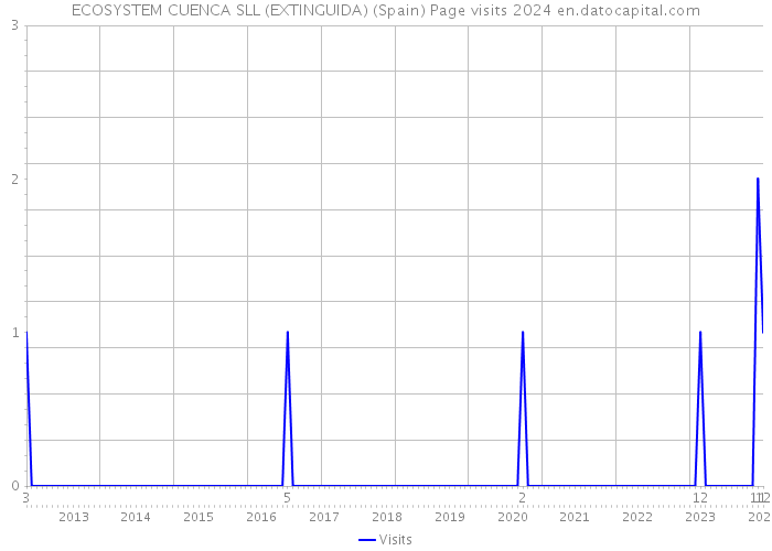 ECOSYSTEM CUENCA SLL (EXTINGUIDA) (Spain) Page visits 2024 