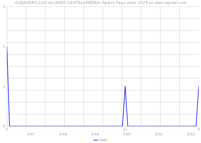 ALEJANDRO LUIS ALVAREZ CANTALAPIEDRA (Spain) Page visits 2024 