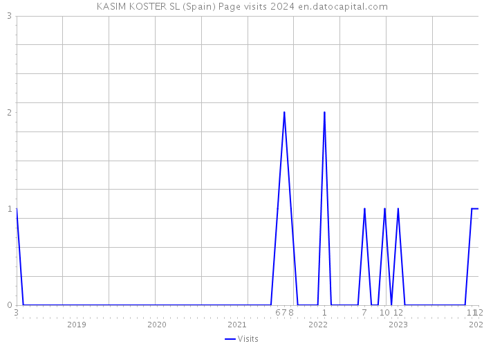 KASIM KOSTER SL (Spain) Page visits 2024 