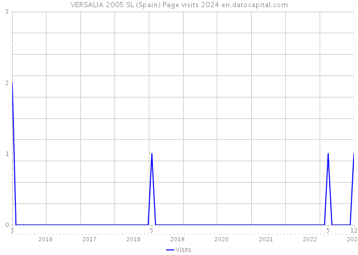 VERSALIA 2005 SL (Spain) Page visits 2024 