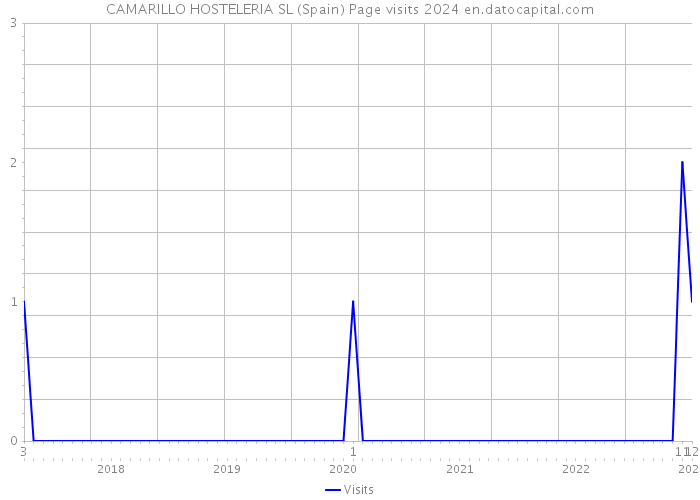 CAMARILLO HOSTELERIA SL (Spain) Page visits 2024 
