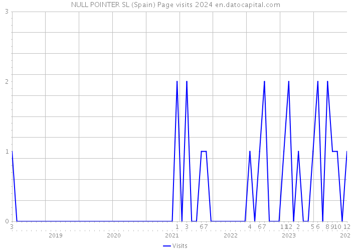 NULL POINTER SL (Spain) Page visits 2024 